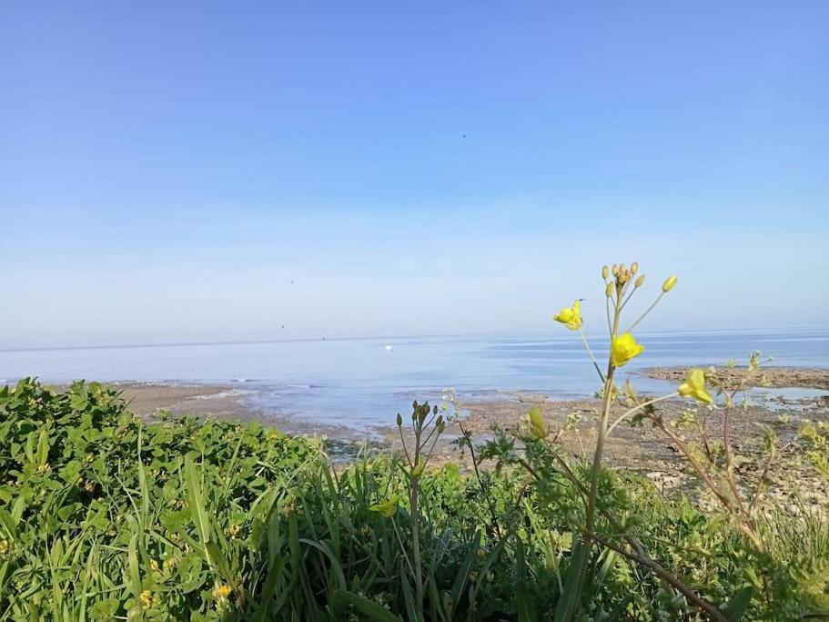 Soleil D'Opale Et Son Grand Jardin Villa Wimereux Eksteriør bilde